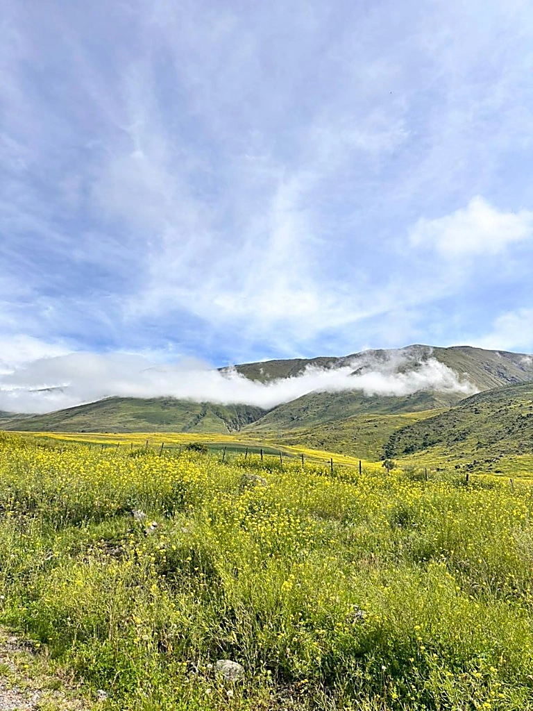 Paisaje de Tucumán